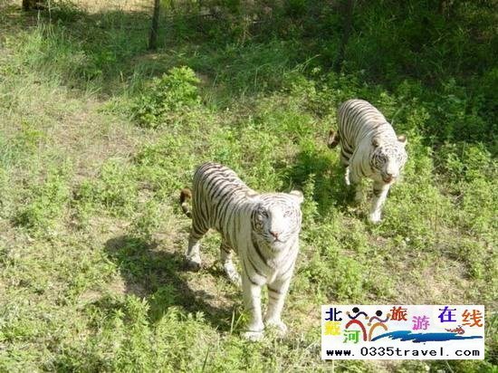 秦皇島野生動(dòng)物園