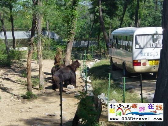 秦皇島野生動(dòng)物園