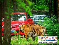 秦皇島野生動物園景點門票優(yōu)惠88元起團，一人也成團，團隊更優(yōu)惠，咨詢電話0335-3522599: